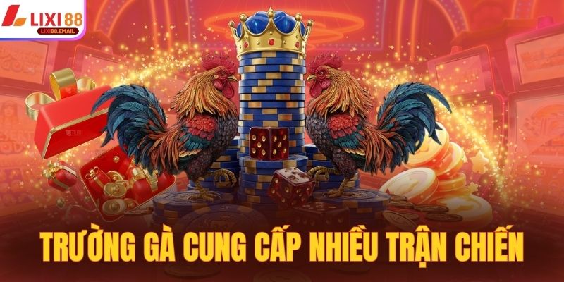 Trường đá gà tại Campuchia cung cấp nhiều trận chiến