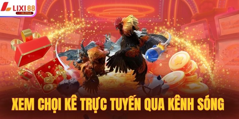 Xem chọi kê trực tuyến qua kênh sóng